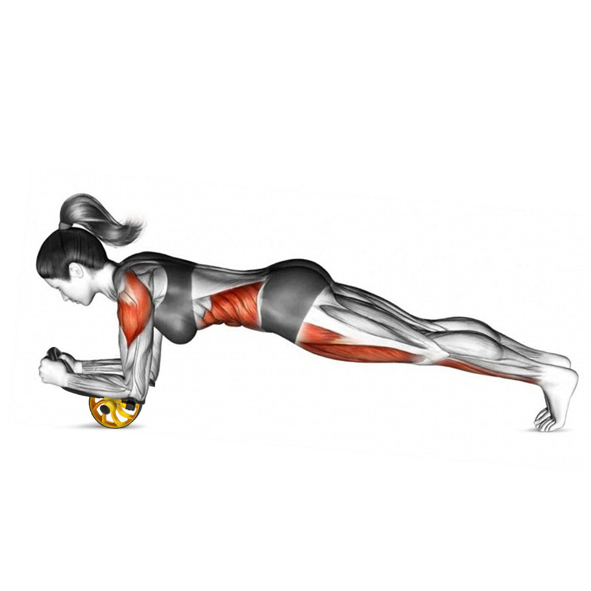 PumpinPro - Advanced Ab Roller System: 12-in-1 Workout Device with Detachable Elbow Support for Optimal Performance